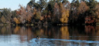 Bringle-Lake-Wilderness-Area